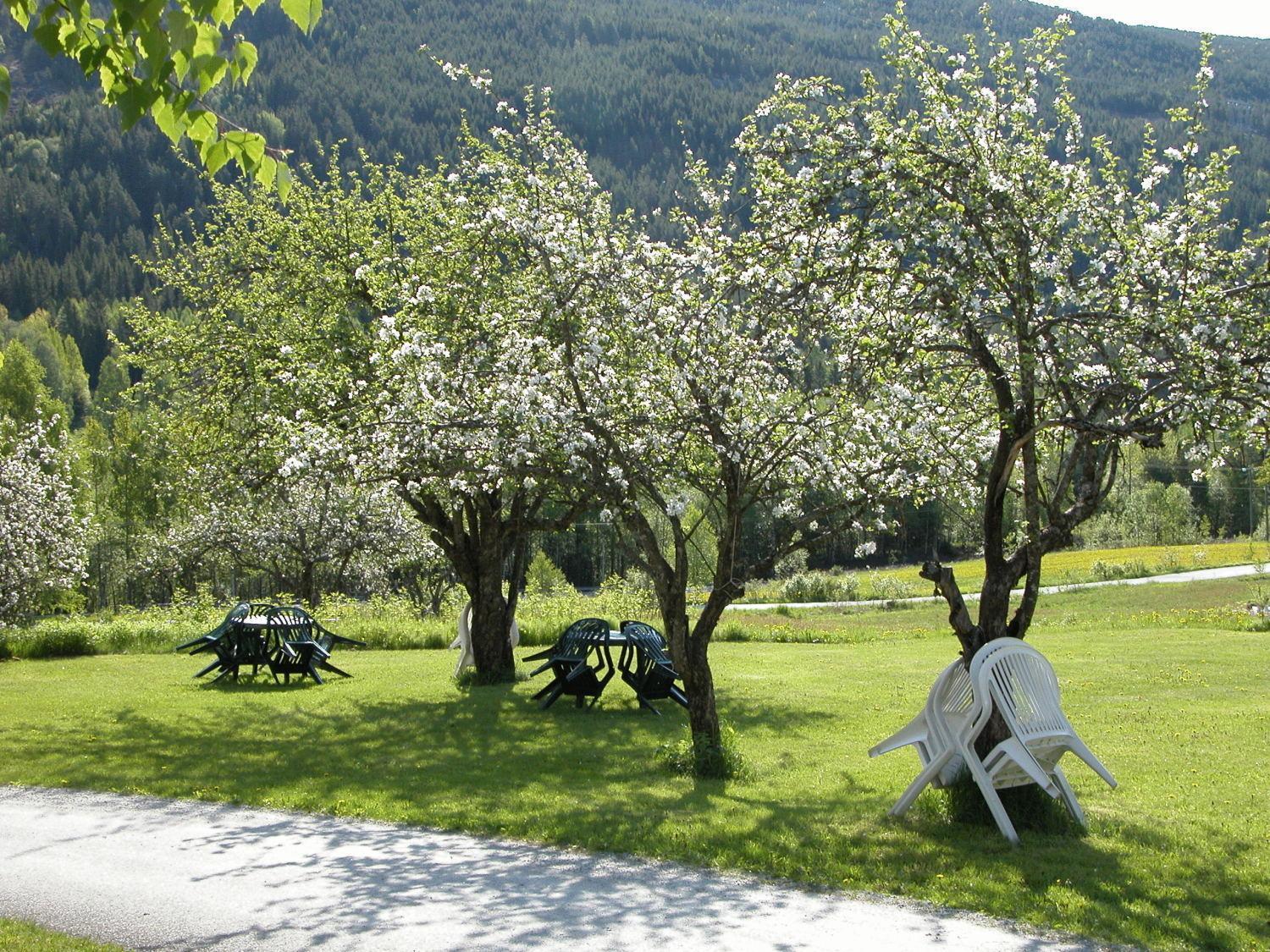 Smedsgarden Hotel Nesbyen Zewnętrze zdjęcie