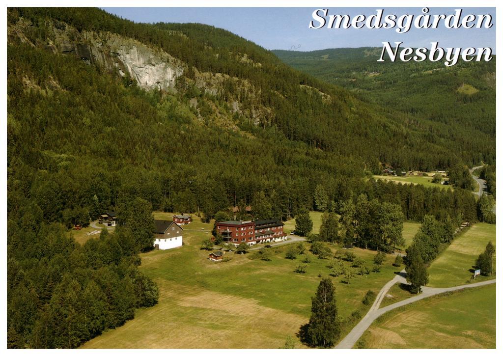 Smedsgarden Hotel Nesbyen Zewnętrze zdjęcie